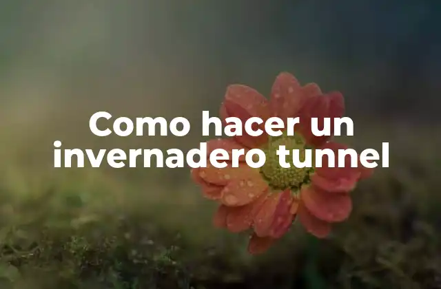 Como Hacer un Invernadero Tunnel