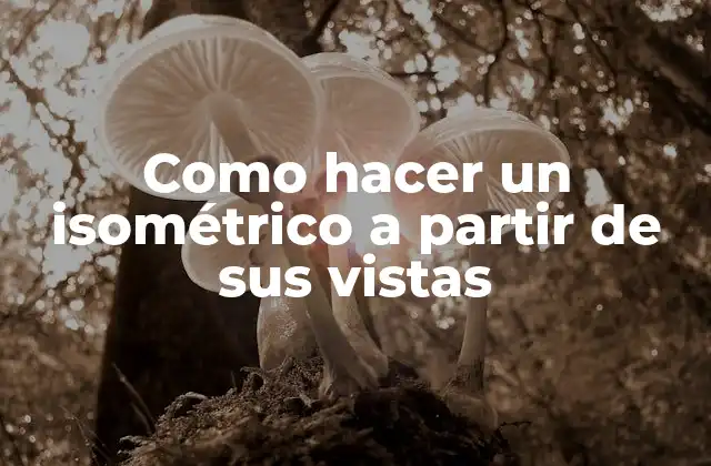 Como Hacer un Isométrico a Partir de Sus Vistas