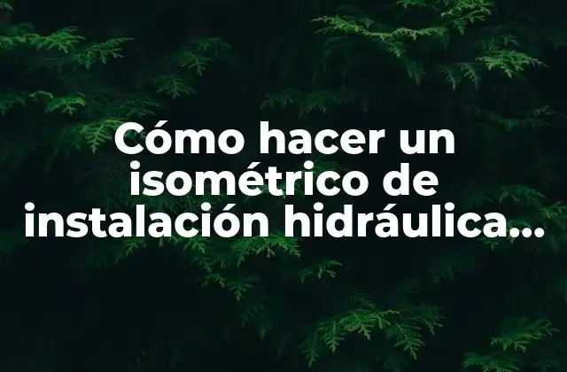 Cómo Hacer un Isométrico de Instalación Hidráulica en Autocad