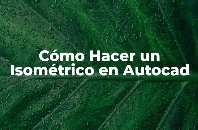 Cómo Hacer un Isométrico en Autocad