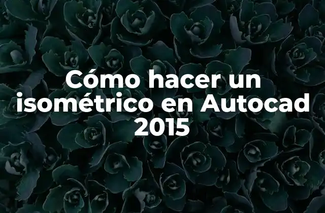Cómo Hacer un Isométrico en Autocad 2015