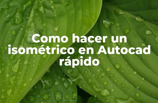 Como Hacer un Isométrico en Autocad Rápido