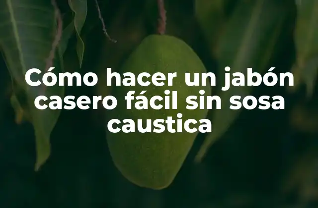 Cómo Hacer un Jabón Casero Fácil sin Sosa Caustica