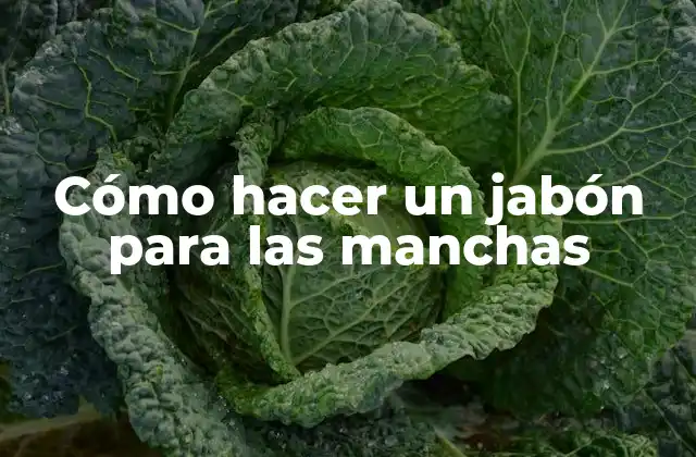 Cómo Hacer un Jabón para las Manchas