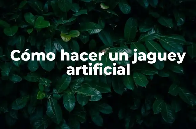 Cómo Hacer un Jaguey Artificial