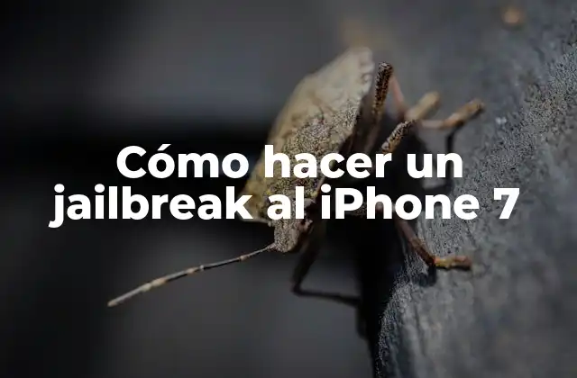 Cómo Hacer un Jailbreak Al Iphone 7