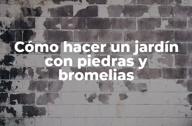 Cómo Hacer un Jardín con Piedras y Bromelias