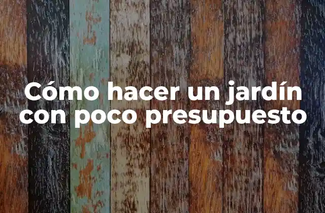 Cómo Hacer un Jardín con Poco Presupuesto