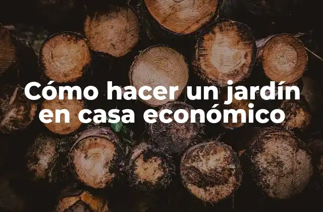 Cómo Hacer un Jardín en Casa Económico