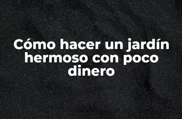 Cómo Hacer un Jardín Hermoso con Poco Dinero