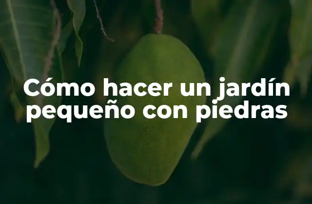 Cómo Hacer un Jardín Pequeño con Piedras