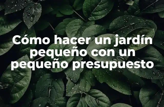 Cómo Hacer un Jardín Pequeño con un Pequeño Presupuesto