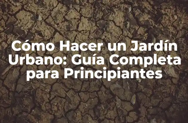 Cómo Hacer un Jardín Urbano: Guía Completa para Principiantes
