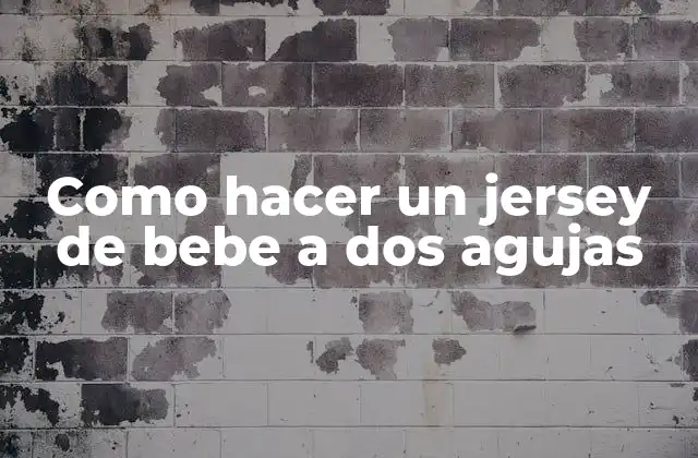Como Hacer un Jersey de Bebe a Dos Agujas