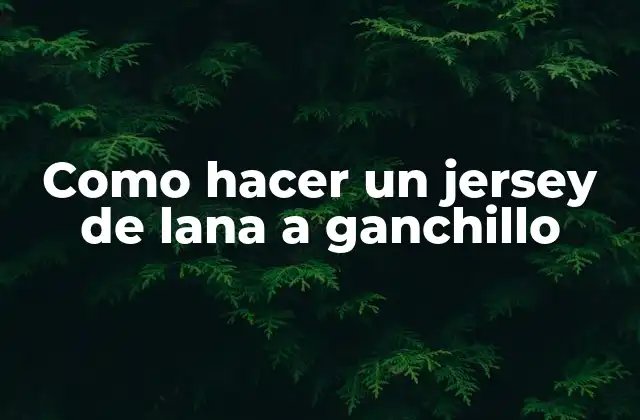 Como Hacer un Jersey de Lana a Ganchillo