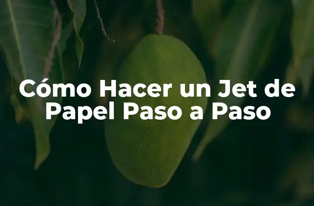Cómo Hacer un Jet de Papel Paso a Paso 2 Cómo Hacer un Jet de Papel Paso a Paso