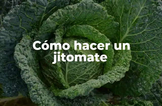 Cómo Hacer un Jitomate 2 ¿Qué es un jitomate y para qué sirve?