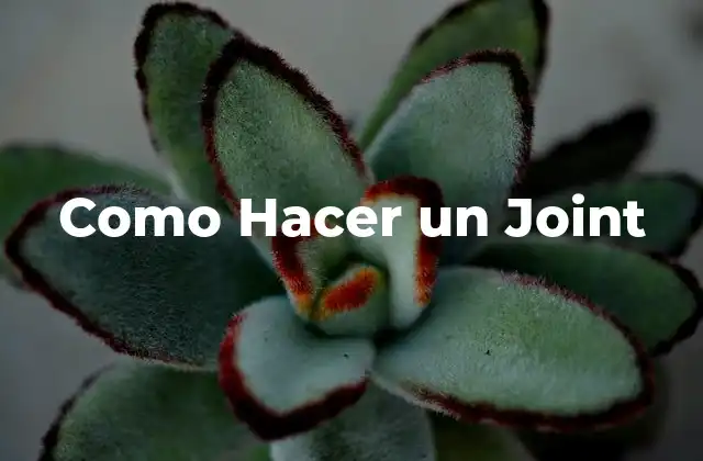 Como Hacer un Joint