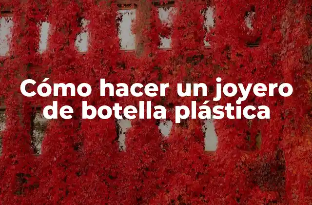 Cómo Hacer un Joyero de Botella Plástica