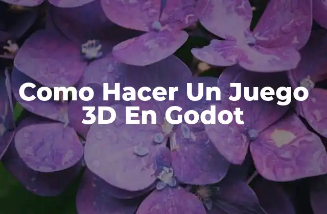Como Hacer un Juego 3d en Godot
