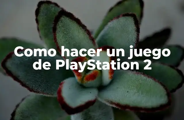 Como Hacer un Juego de Playstation 2