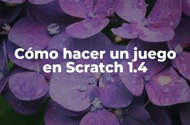 Cómo Hacer un Juego en Scratch 1.4