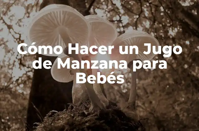 Cómo Hacer un Jugo de Manzana para Bebés