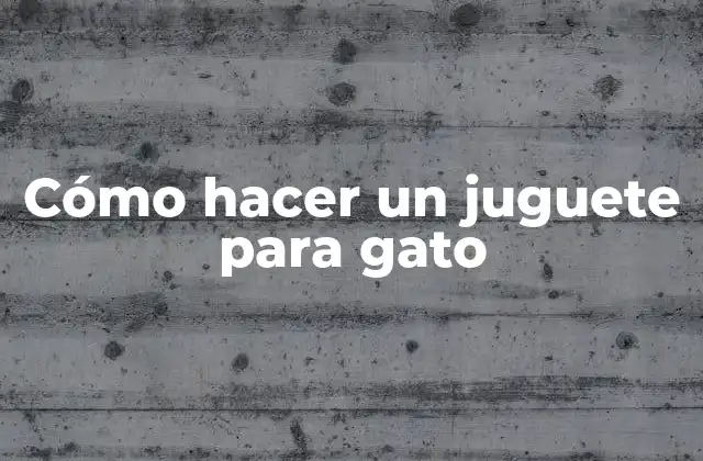 Cómo Hacer un Juguete para Gato