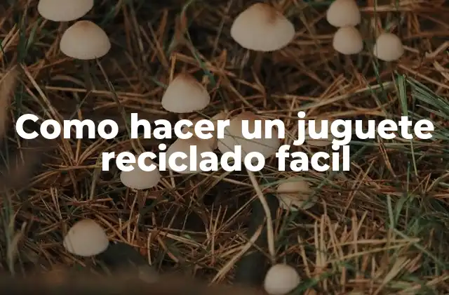 Como Hacer un Juguete Reciclado Facil