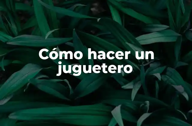 Cómo Hacer un Juguetero