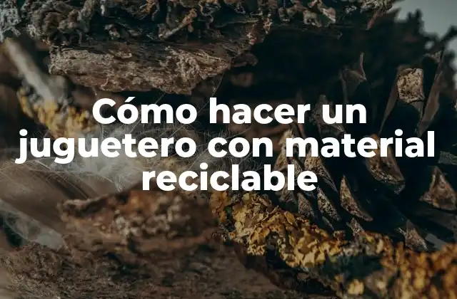 Cómo Hacer un Juguetero con Material Reciclable