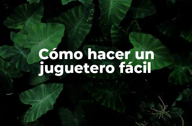 Cómo Hacer un Juguetero Fácil