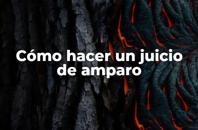 Cómo Hacer un Juicio de Amparo