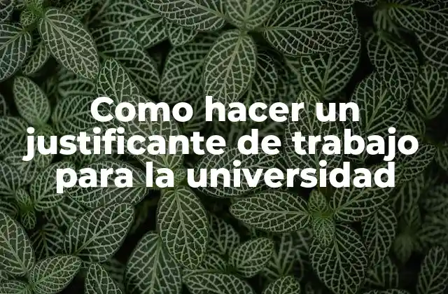 Como Hacer un Justificante de Trabajo para la Universidad
