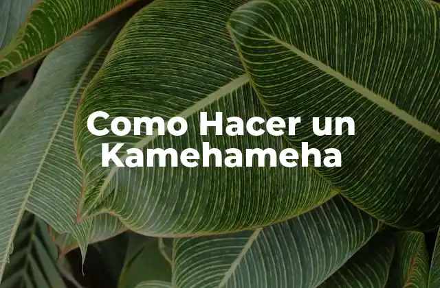 Como Hacer un Kamehameha