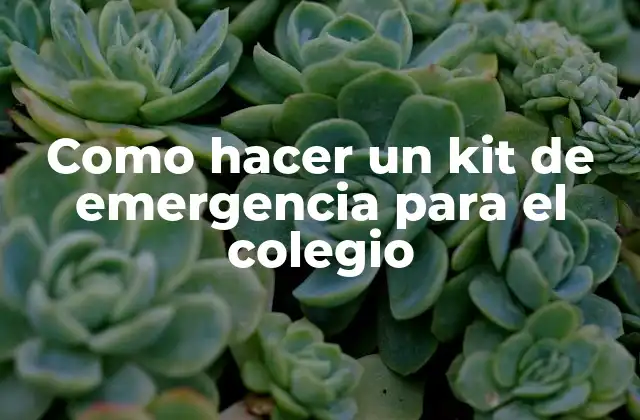 Como Hacer un Kit de Emergencia para el Colegio