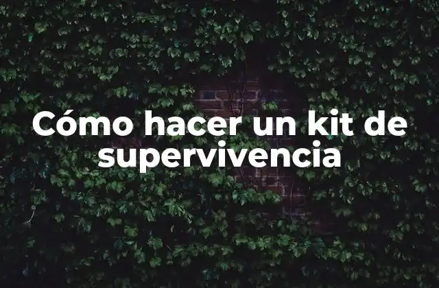 ¿Qué es un kit de supervivencia?