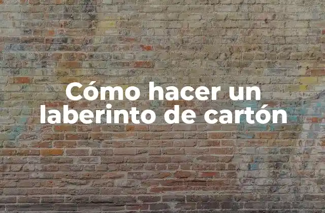 Cómo Hacer un Laberinto de Cartón