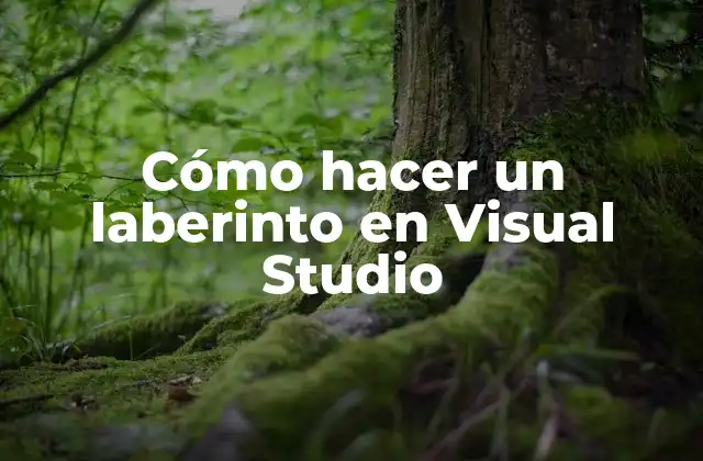 Cómo Hacer un Laberinto en Visual Studio
