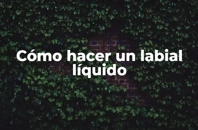 Cómo Hacer un Labial Líquido 2 ¿Qué es un labial líquido?