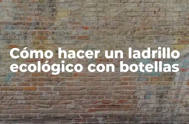 Cómo Hacer un Ladrillo Ecológico con Botellas