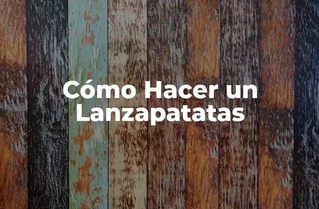 Cómo Hacer un Lanzapatatas