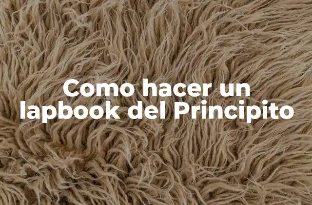 Como Hacer un Lapbook Del Principito