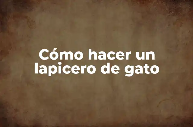 Cómo Hacer un Lapicero de Gato