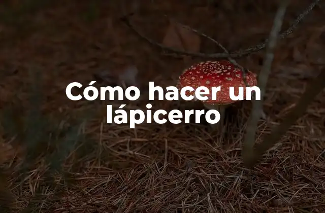 Cómo Hacer un Lápicerro