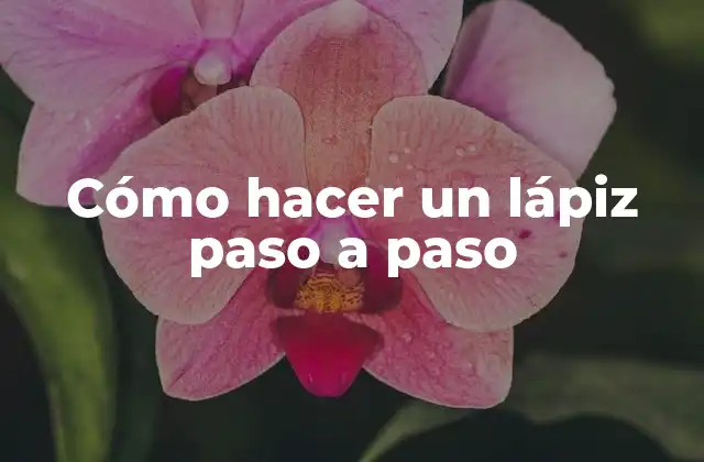 Cómo Hacer un Lápiz Paso a Paso