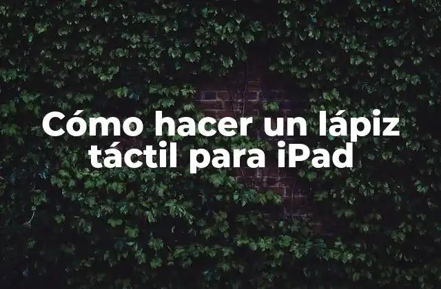 Cómo Hacer un Lápiz Táctil para Ipad