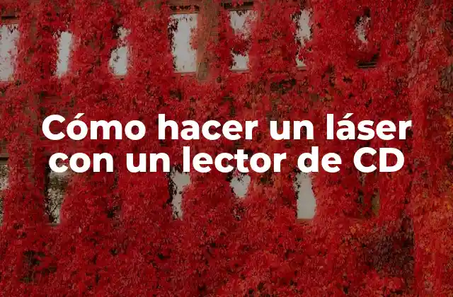 Cómo Hacer un Láser con un Lector de Cd