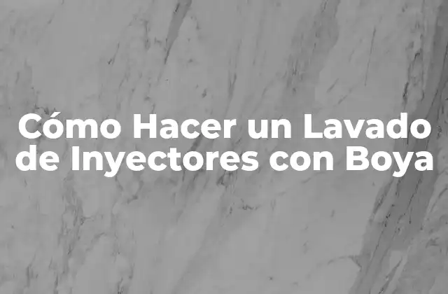 Cómo Hacer un Lavado de Inyectores con Boya
