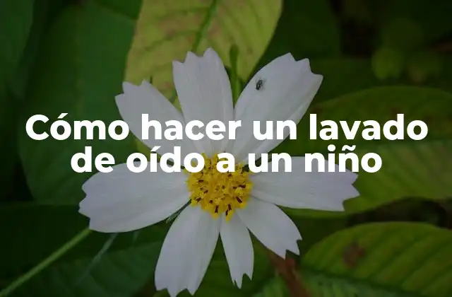 Cómo Hacer un Lavado de Oído a un Niño